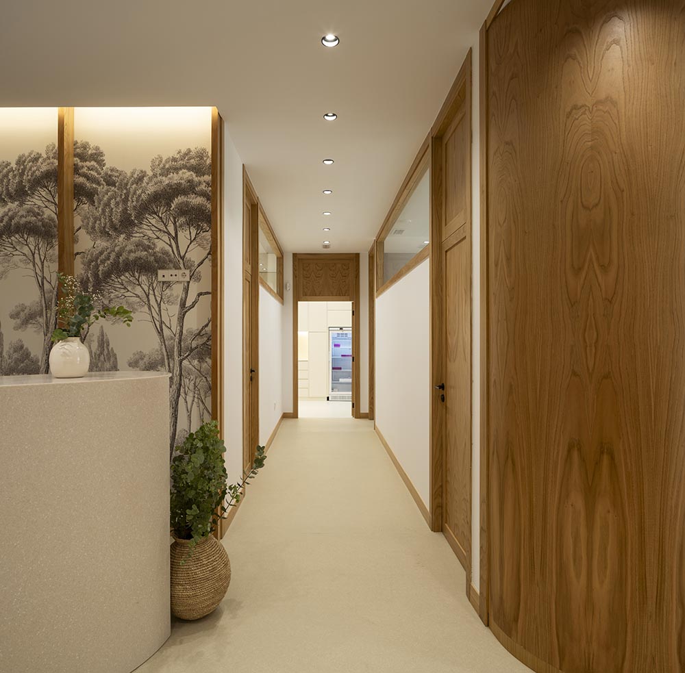 Arquitectura e interiorismo en Granada